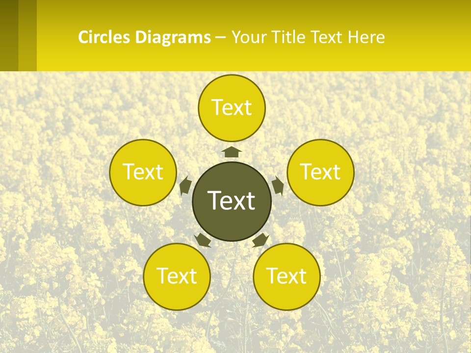 View Landscape Macro PowerPoint Template