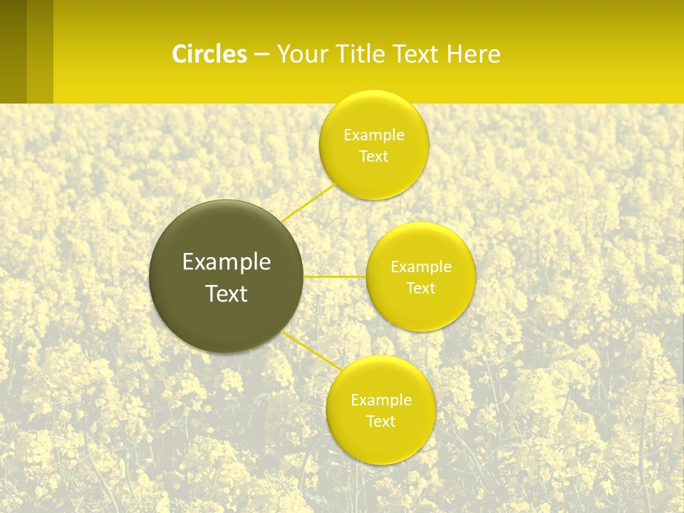 View Landscape Macro PowerPoint Template