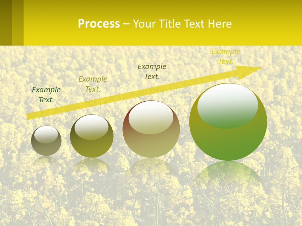 View Landscape Macro PowerPoint Template