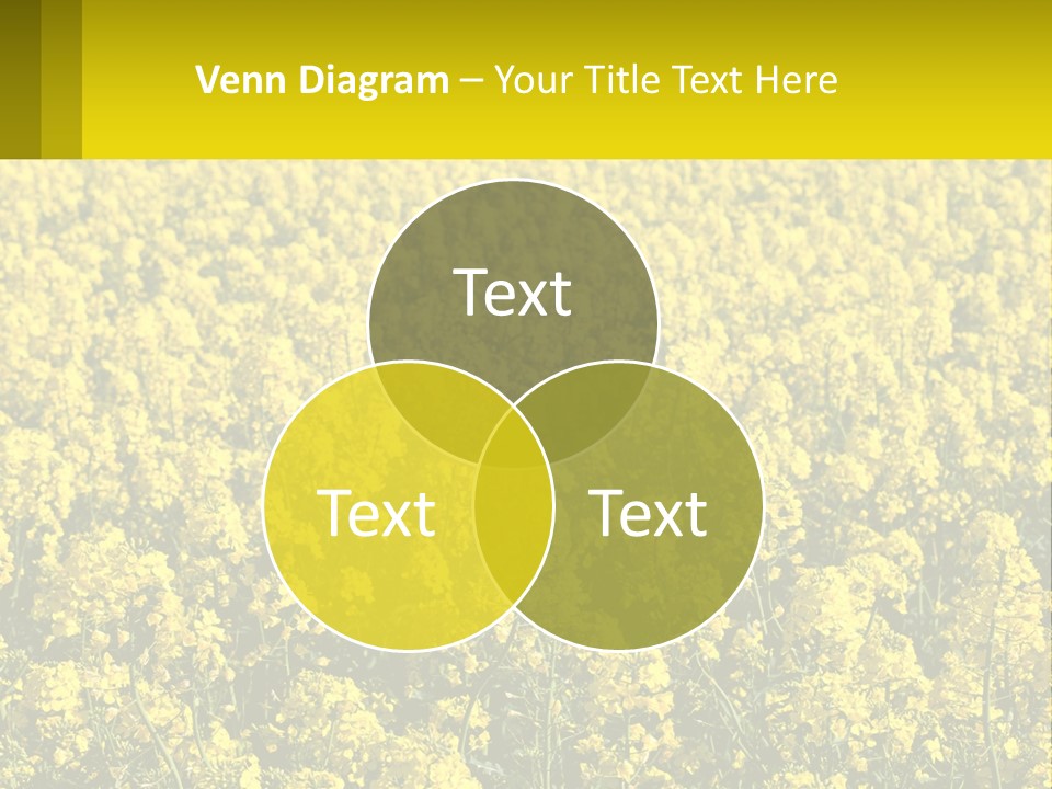 View Landscape Macro PowerPoint Template