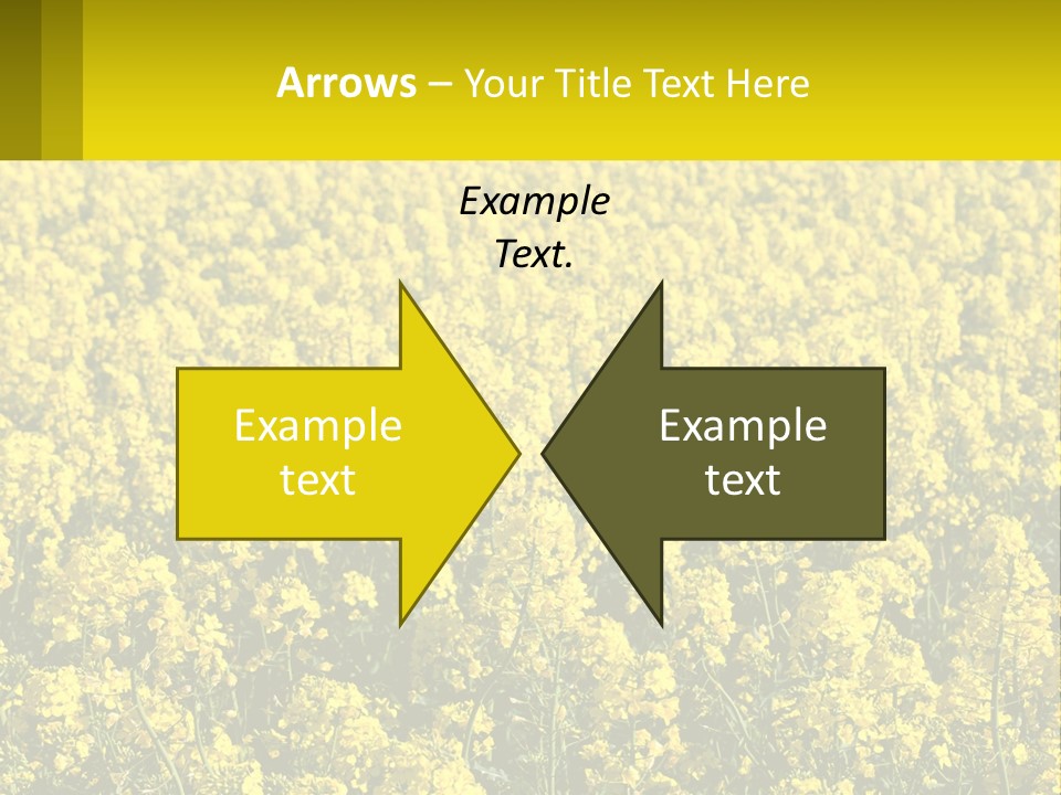 View Landscape Macro PowerPoint Template