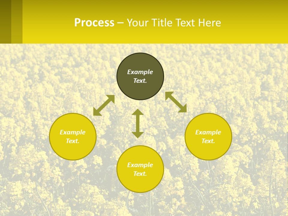 View Landscape Macro PowerPoint Template