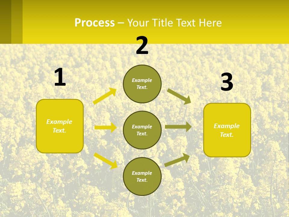 View Landscape Macro PowerPoint Template
