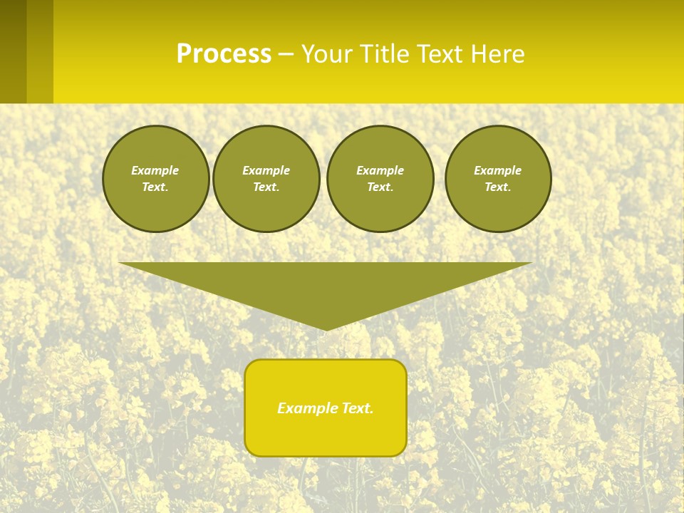 View Landscape Macro PowerPoint Template