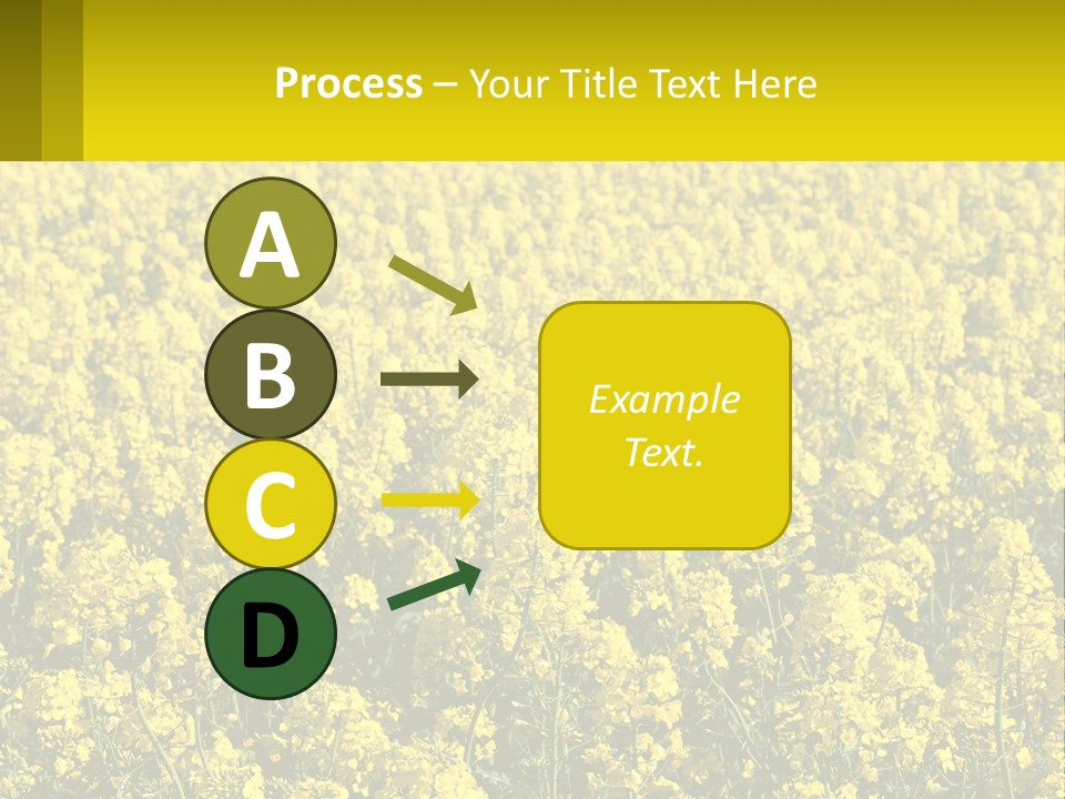 View Landscape Macro PowerPoint Template