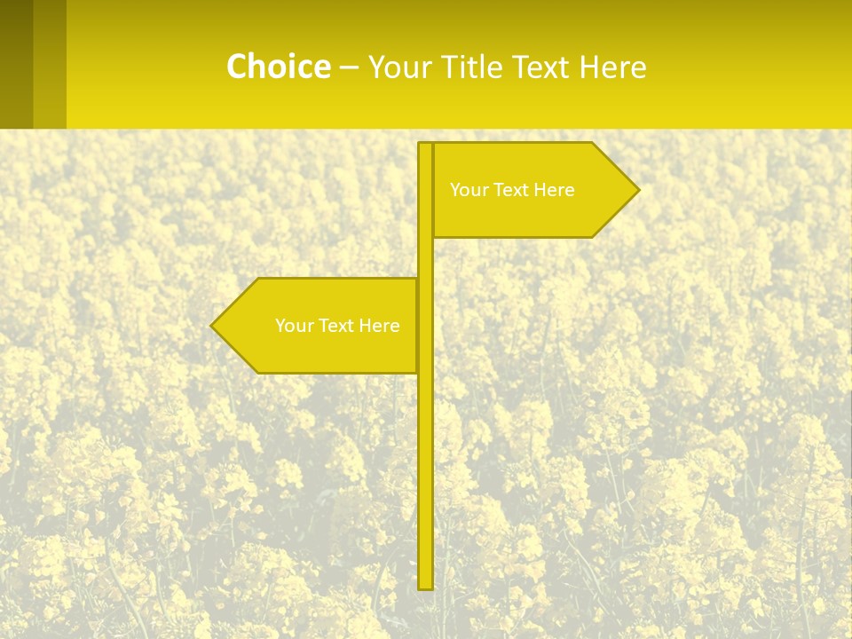 View Landscape Macro PowerPoint Template
