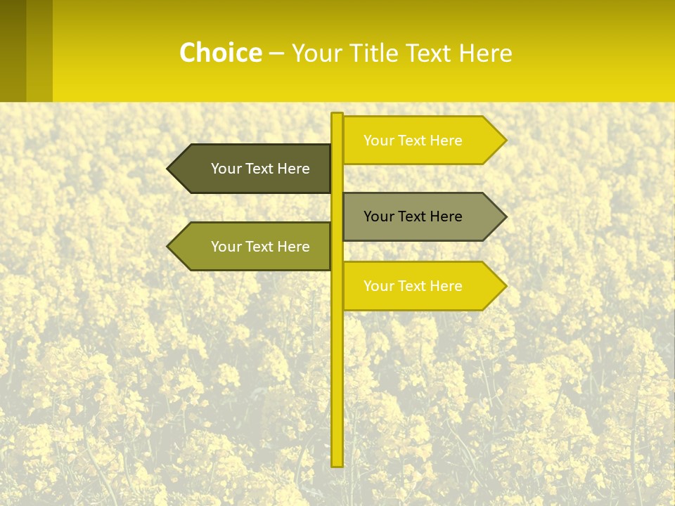 View Landscape Macro PowerPoint Template