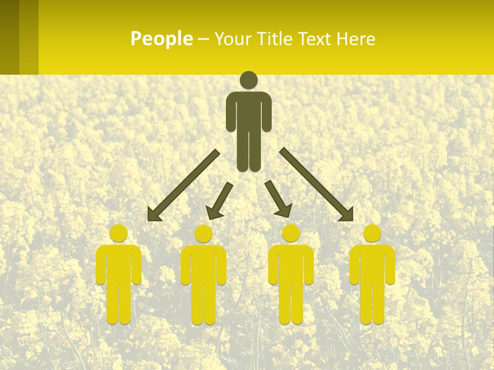 View Landscape Macro PowerPoint Template