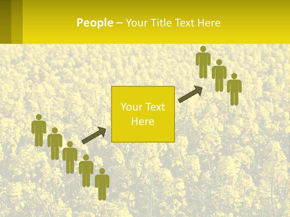 View Landscape Macro PowerPoint Template