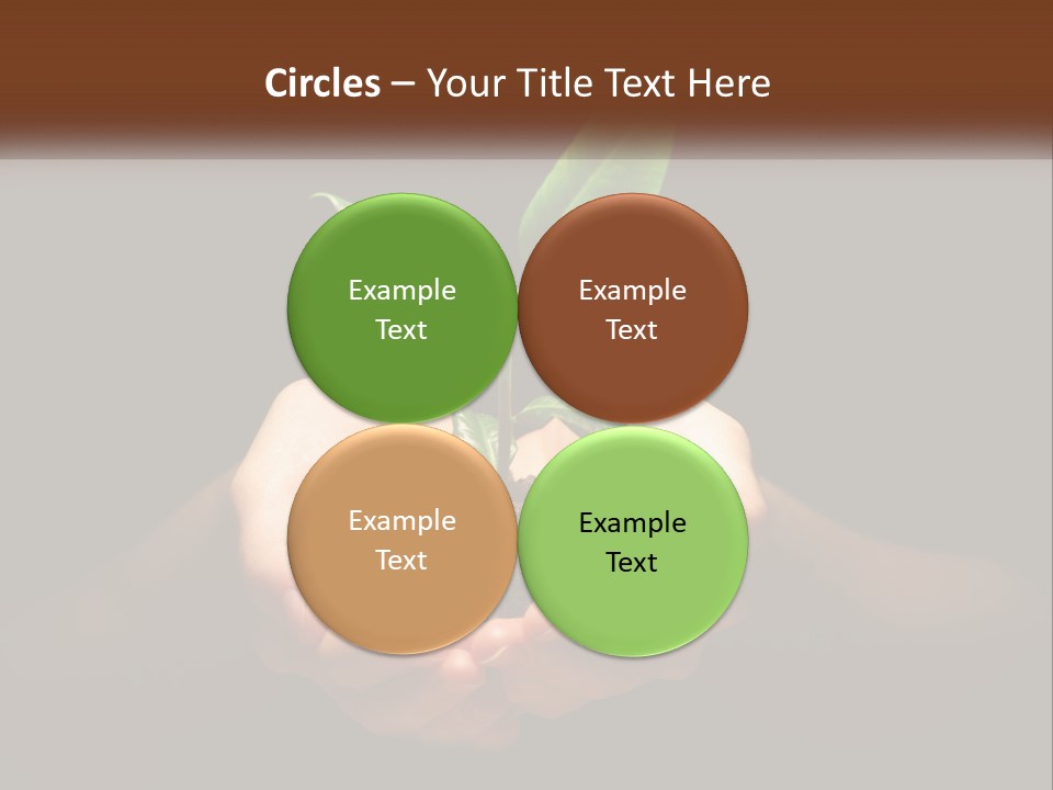 Light Fertile Glow PowerPoint Template