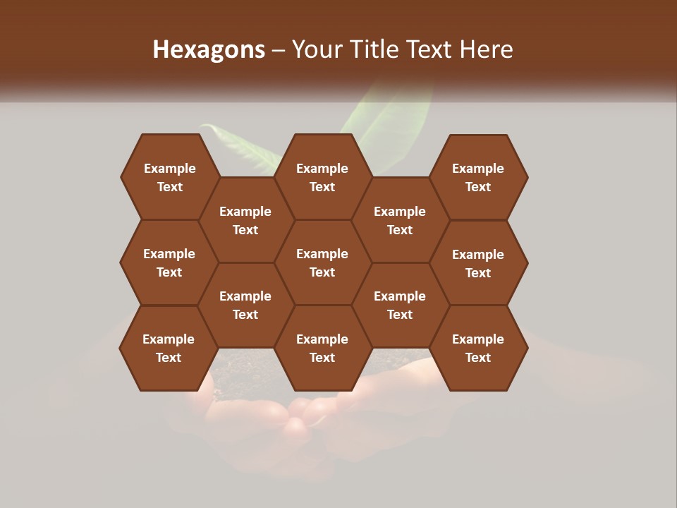 Light Fertile Glow PowerPoint Template