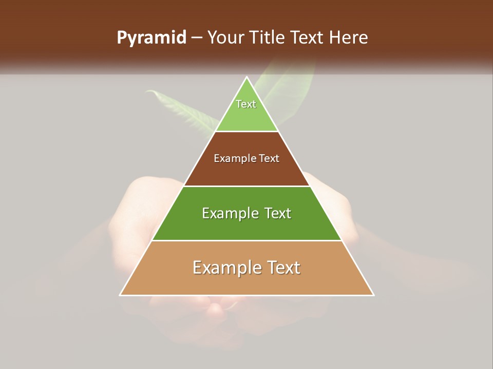 Light Fertile Glow PowerPoint Template