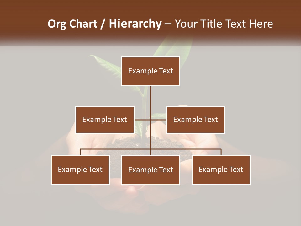Light Fertile Glow PowerPoint Template