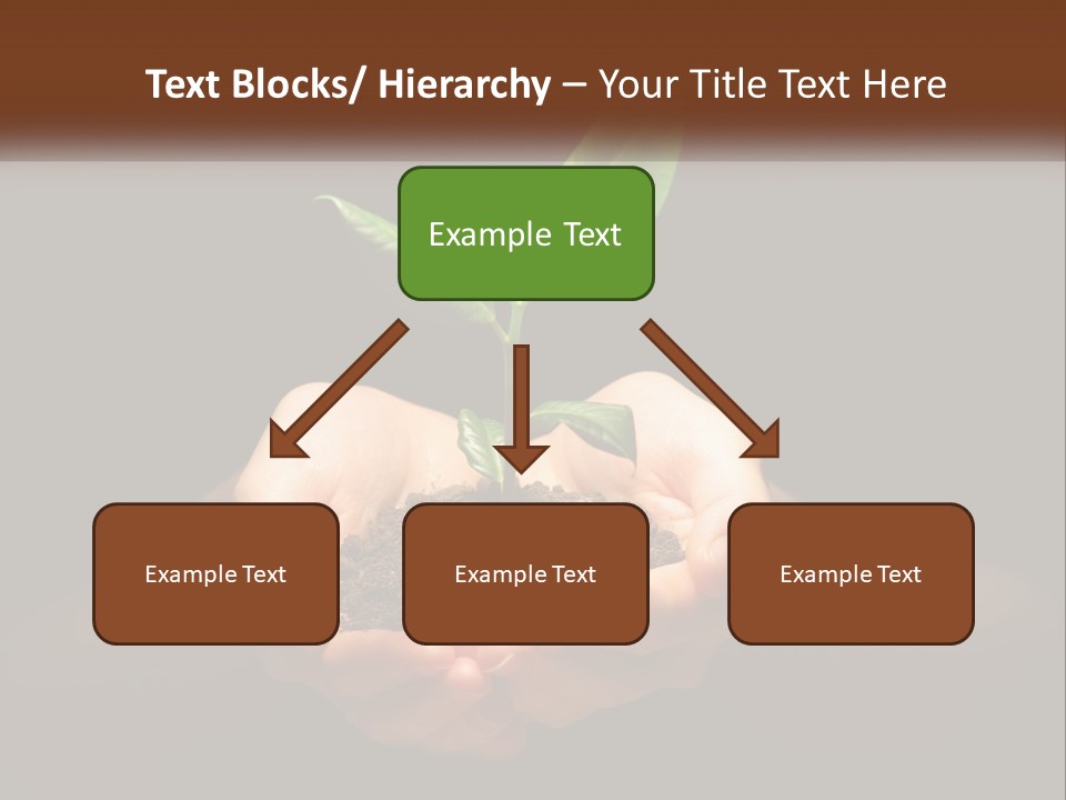 Light Fertile Glow PowerPoint Template