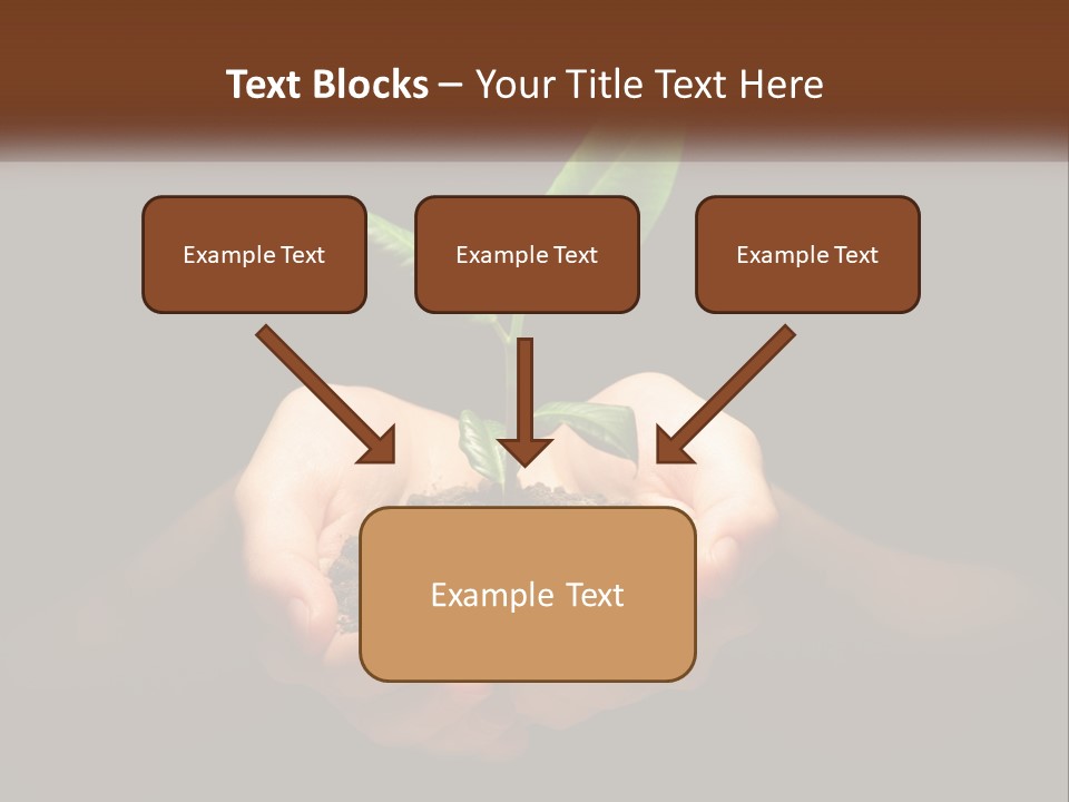 Light Fertile Glow PowerPoint Template