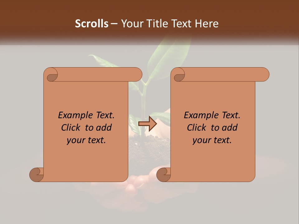 Light Fertile Glow PowerPoint Template