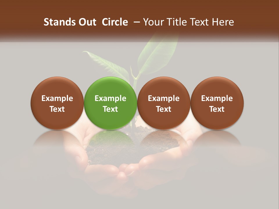 Light Fertile Glow PowerPoint Template