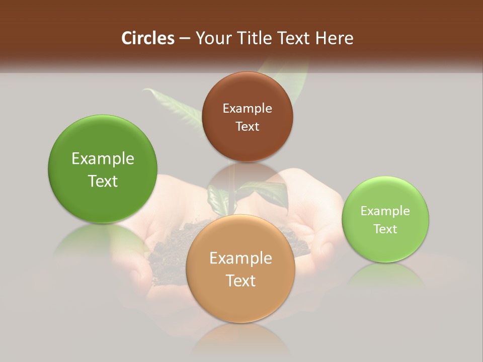 Light Fertile Glow PowerPoint Template