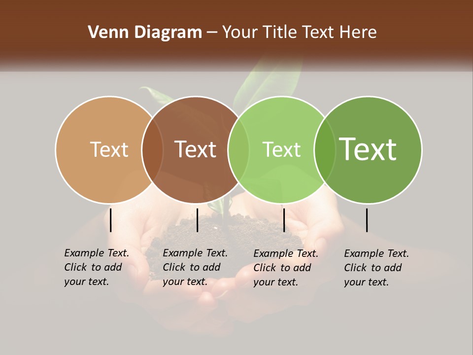 Light Fertile Glow PowerPoint Template