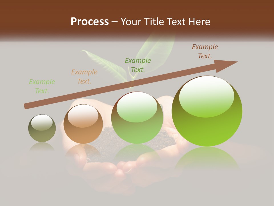 Light Fertile Glow PowerPoint Template