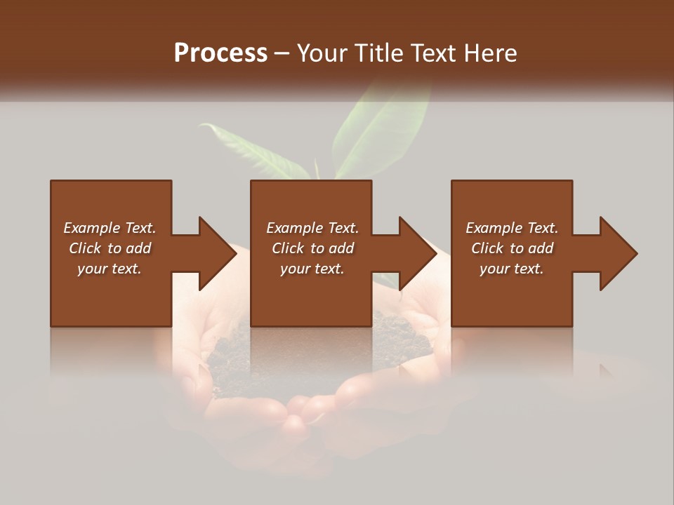 Light Fertile Glow PowerPoint Template