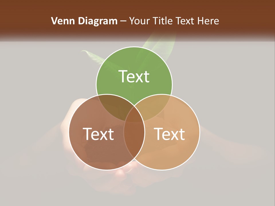 Light Fertile Glow PowerPoint Template