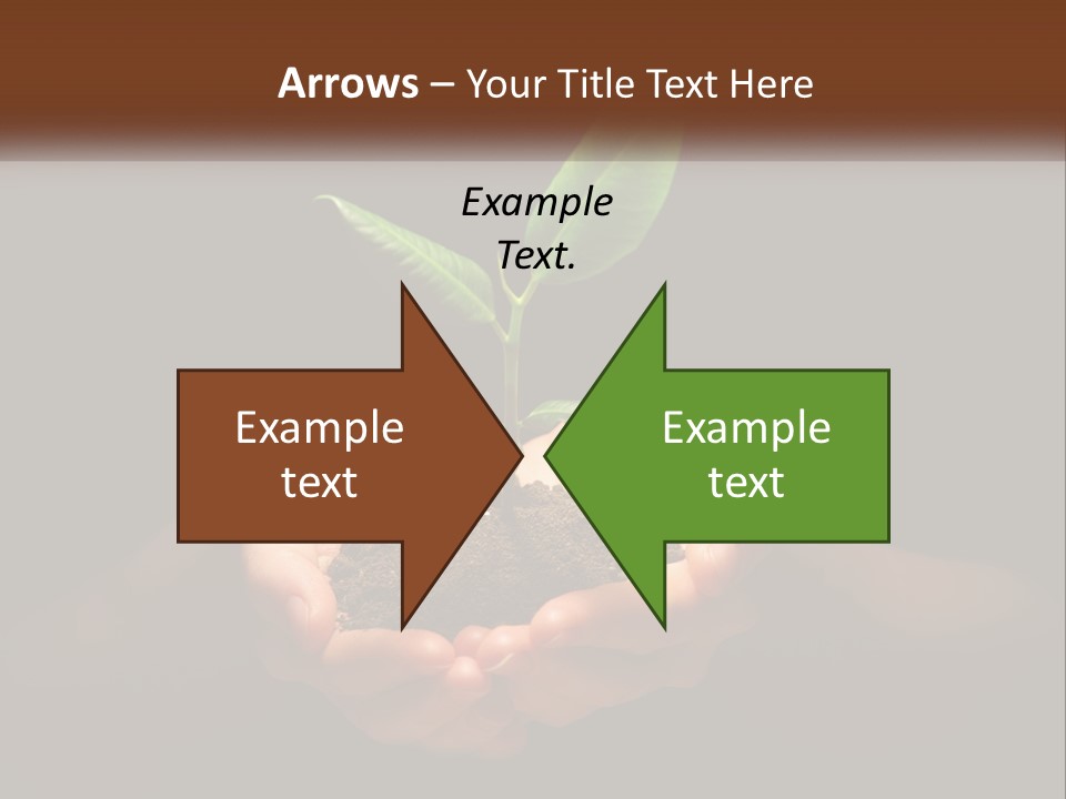 Light Fertile Glow PowerPoint Template