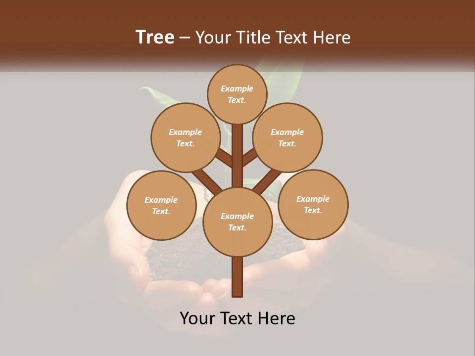 Light Fertile Glow PowerPoint Template