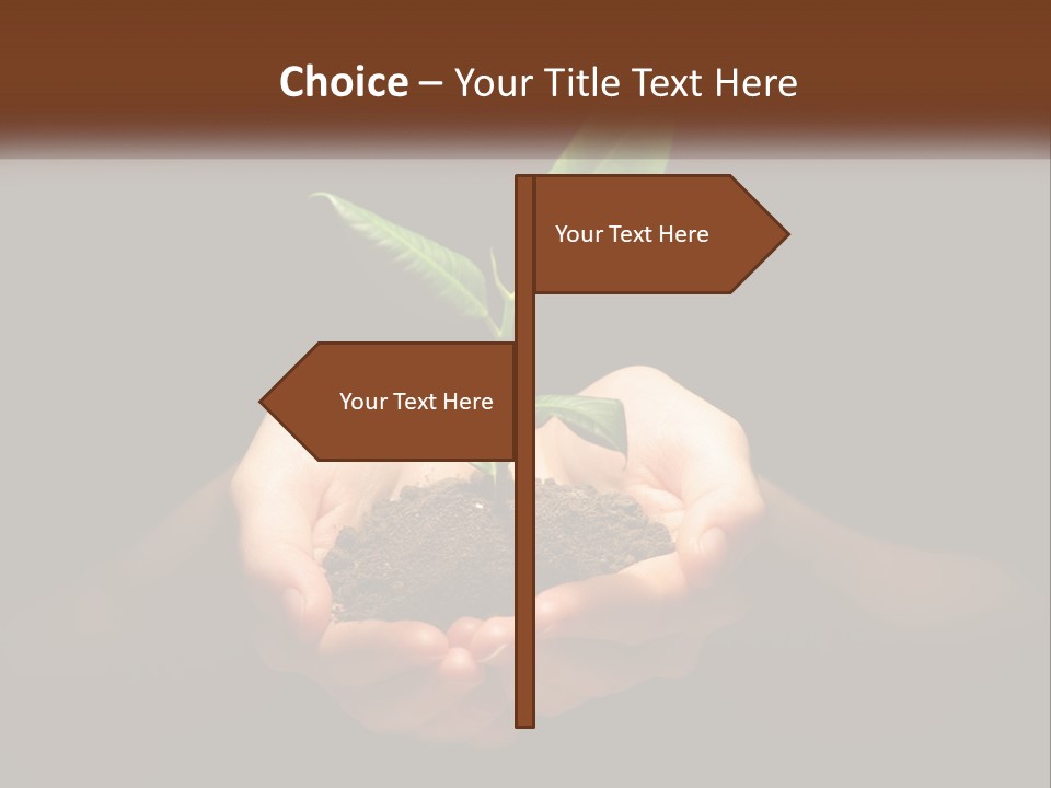 Light Fertile Glow PowerPoint Template