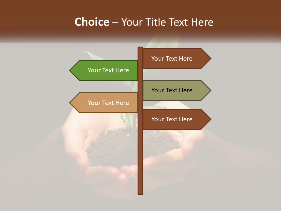 Light Fertile Glow PowerPoint Template