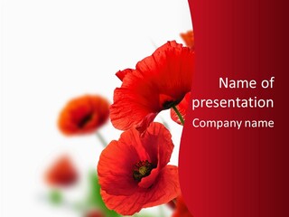 Border Isolated Nature PowerPoint Template
