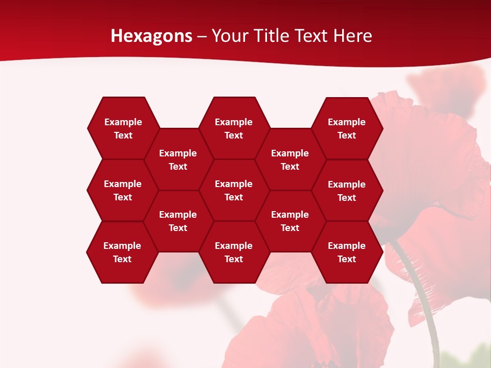 Border Isolated Nature PowerPoint Template