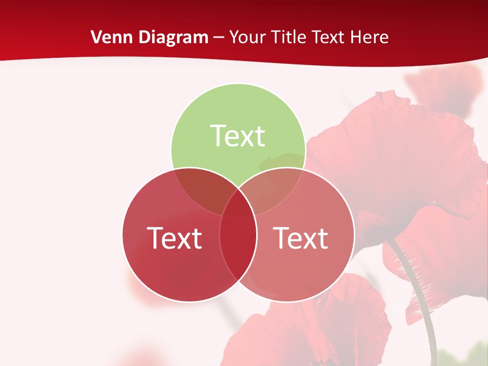 Border Isolated Nature PowerPoint Template