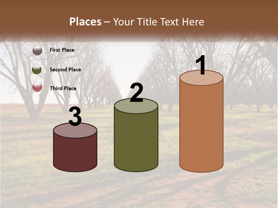 Photography Farm Trees PowerPoint Template