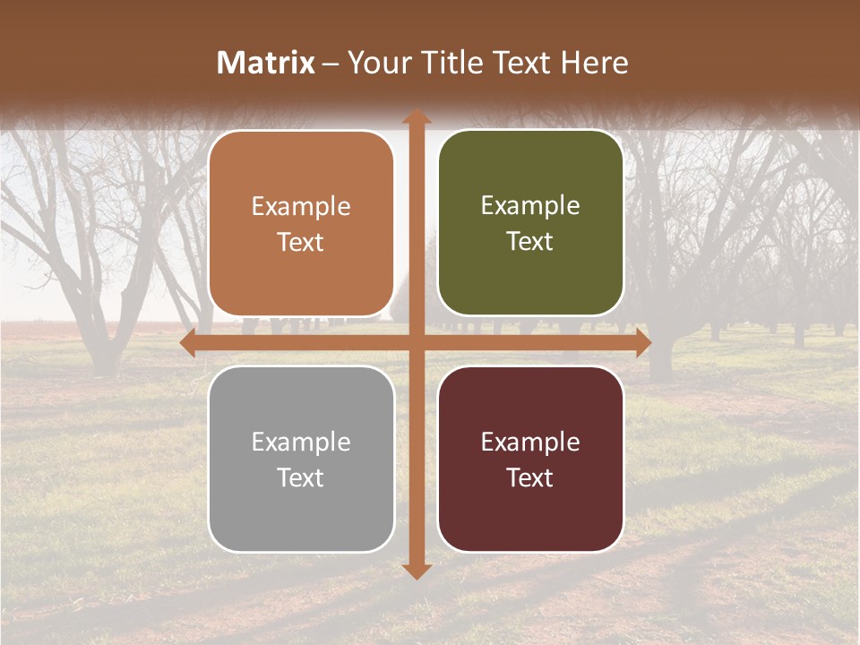 Photography Farm Trees PowerPoint Template