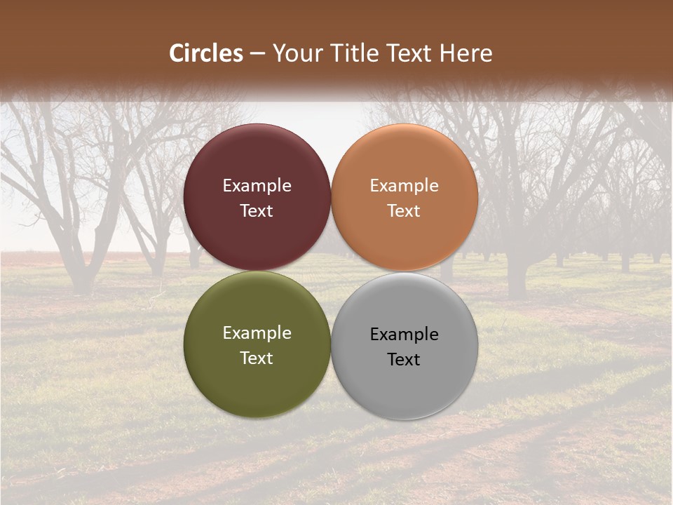 Photography Farm Trees PowerPoint Template