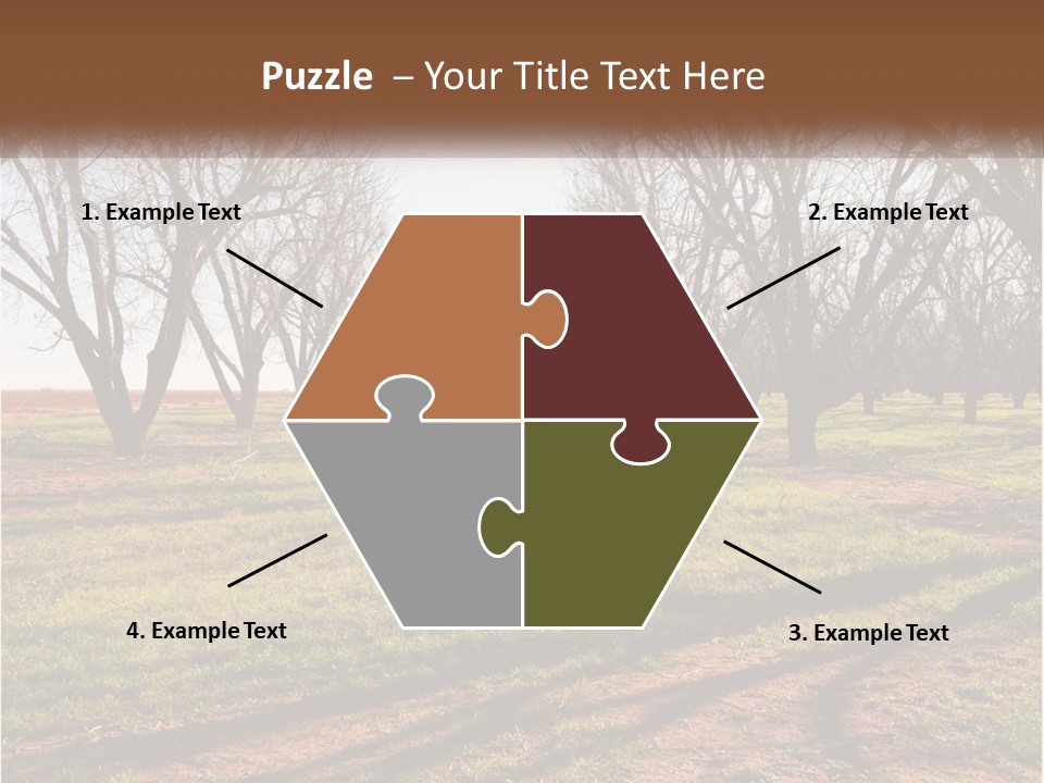 Photography Farm Trees PowerPoint Template