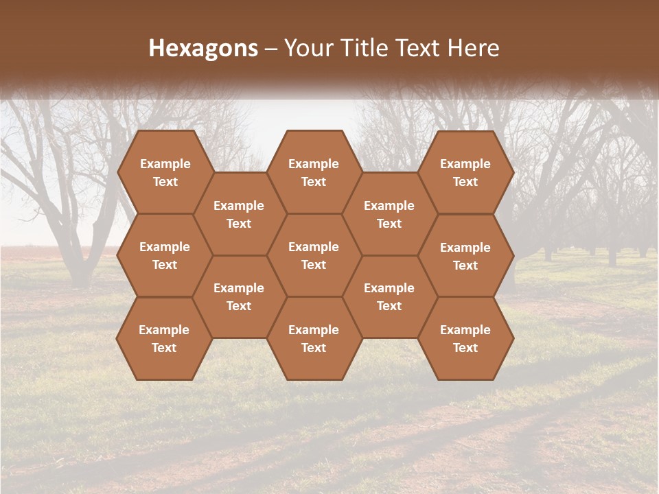 Photography Farm Trees PowerPoint Template