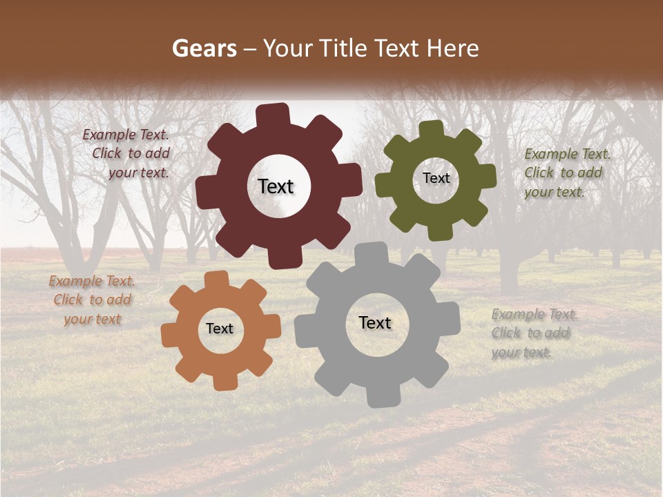 Photography Farm Trees PowerPoint Template