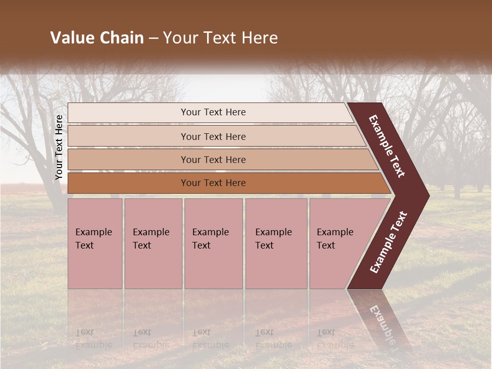 Photography Farm Trees PowerPoint Template