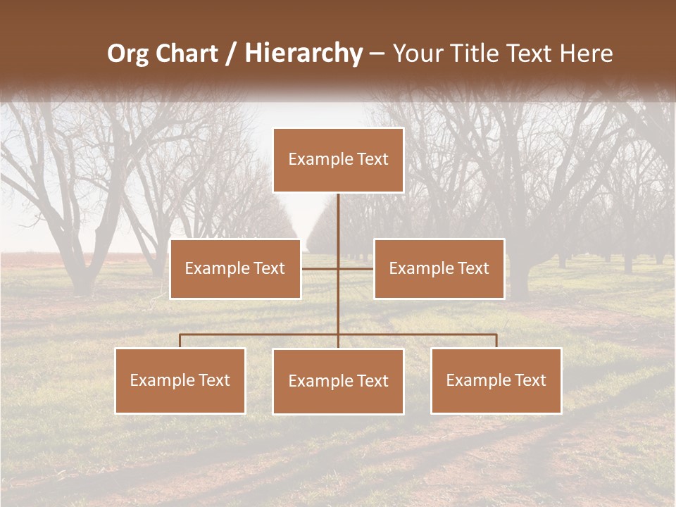 Photography Farm Trees PowerPoint Template