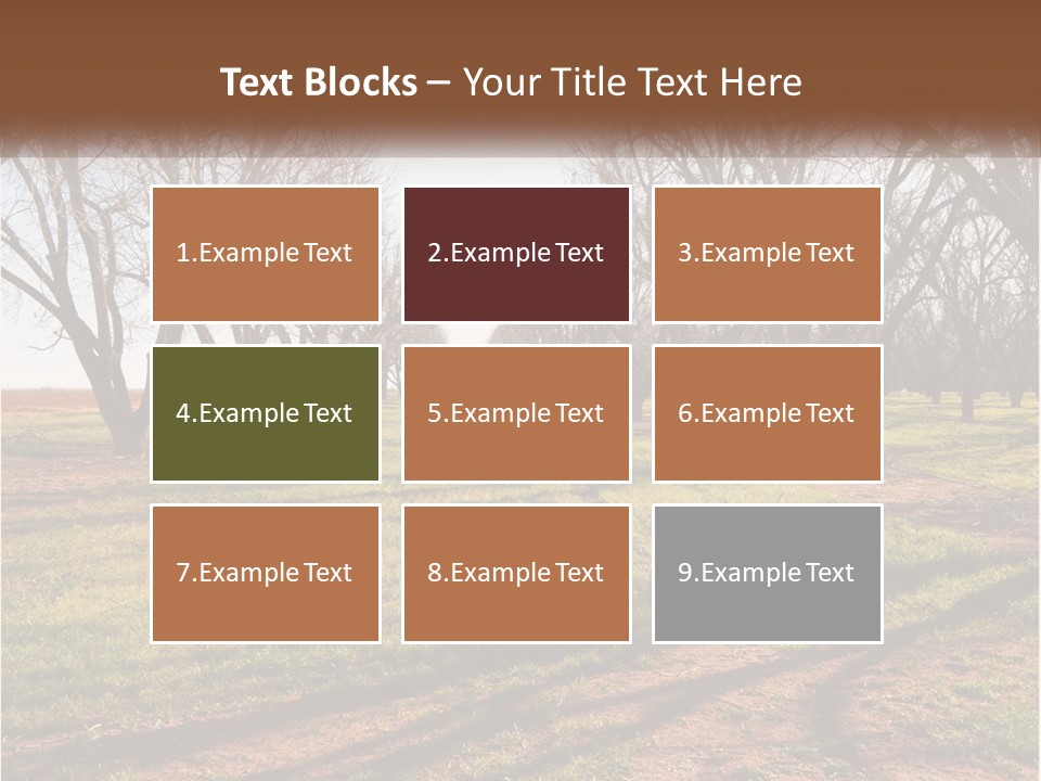 Photography Farm Trees PowerPoint Template