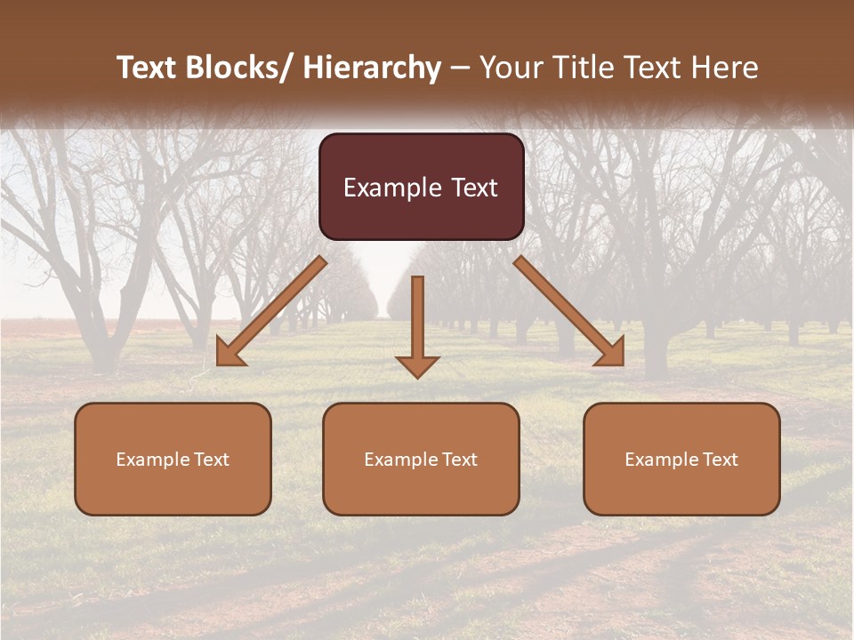Photography Farm Trees PowerPoint Template