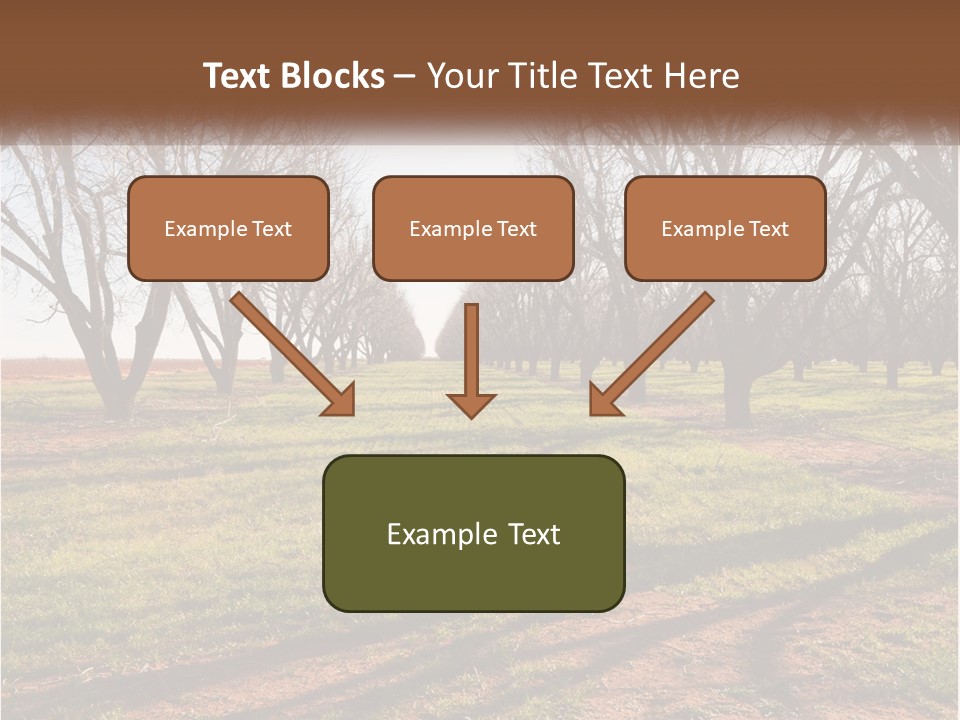 Photography Farm Trees PowerPoint Template