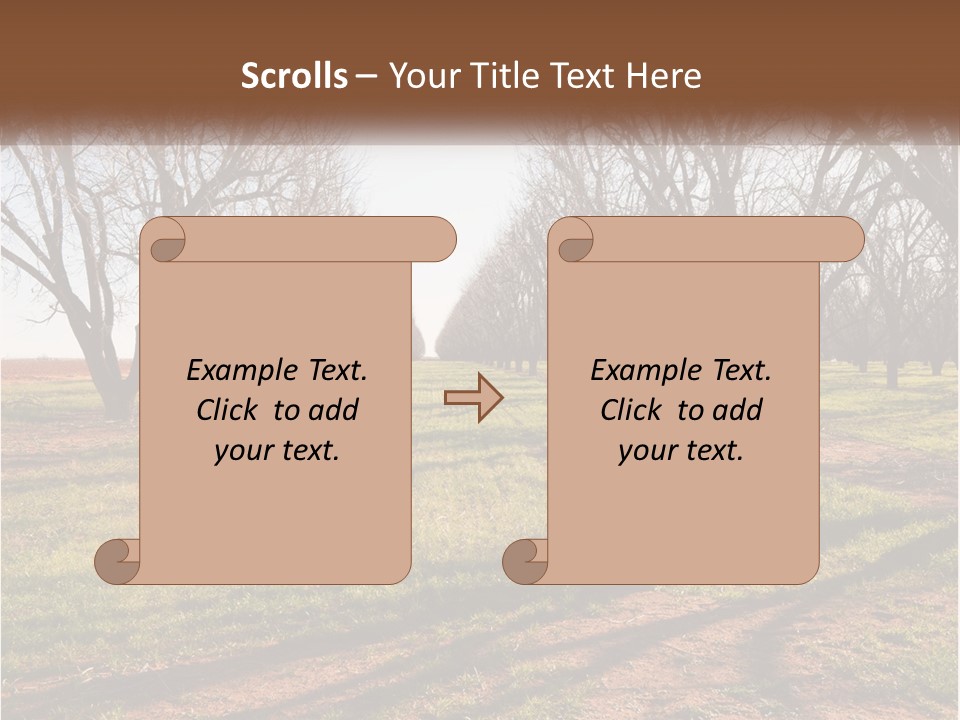 Photography Farm Trees PowerPoint Template