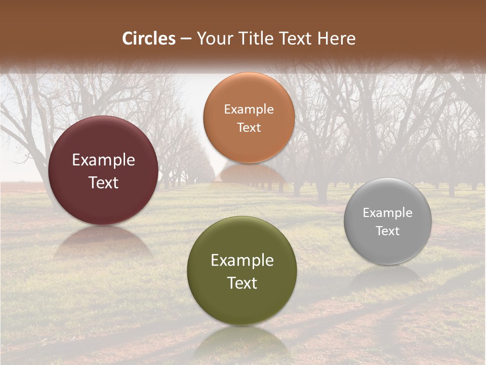 Photography Farm Trees PowerPoint Template