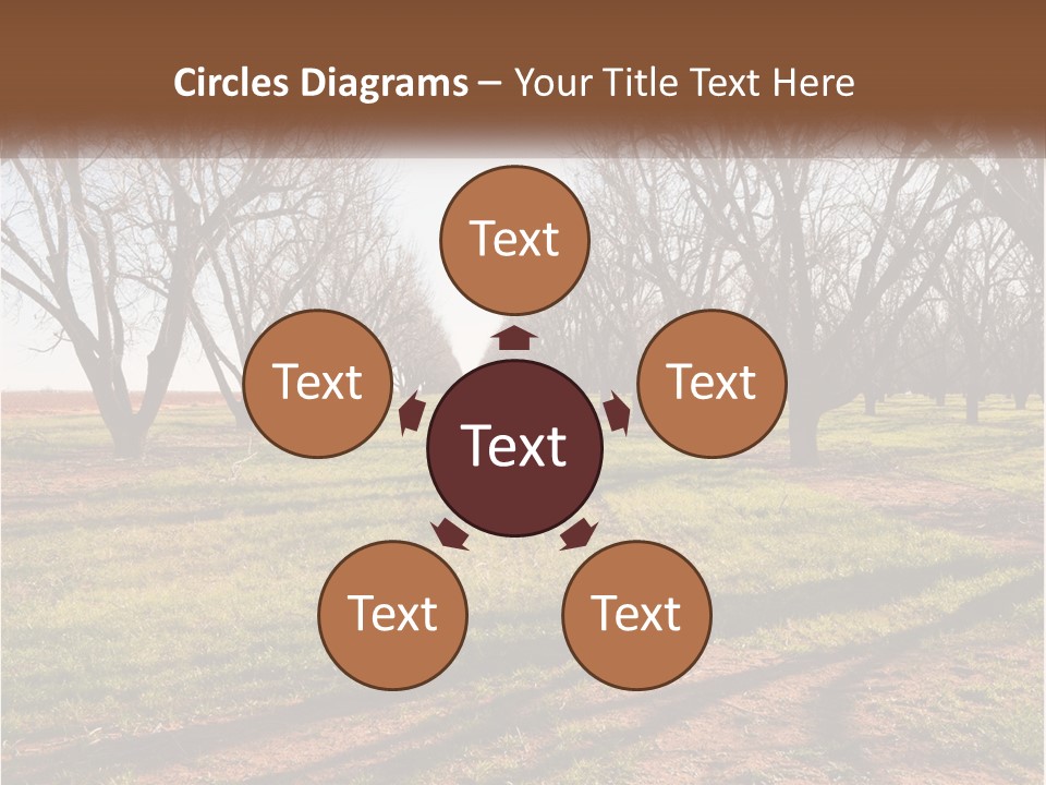 Photography Farm Trees PowerPoint Template