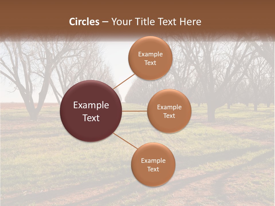 Photography Farm Trees PowerPoint Template