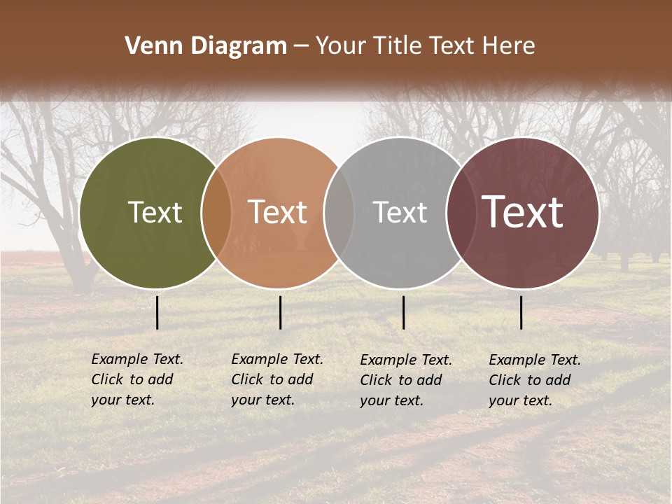 Photography Farm Trees PowerPoint Template