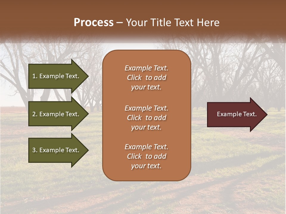 Photography Farm Trees PowerPoint Template